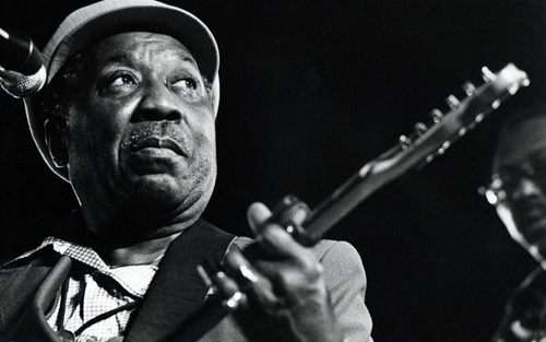 Muddy Waters Muddy Waters