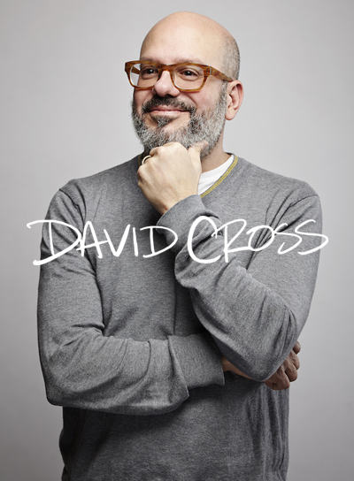 David Cross Case Study